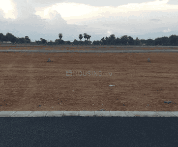Project Images