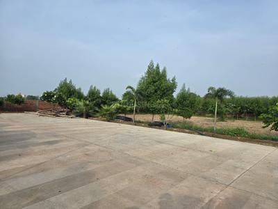 Project Image of 900.0 - 1350.0 Sq.ft Residential Plot Plot for buy in Braj Shree Ji Cottage And Farms