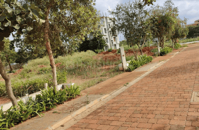 Project Image of 0.0 - 143547.51 Sq.ft Residential Plot Plot for buy in TGH Total Green Homes