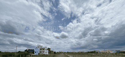 Project Images