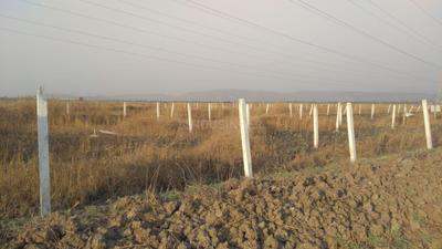 Project Image of 1000.0 - 10000.0 Sq.ft Residential Plot Plot for buy in Towncity Plots In Vindhane