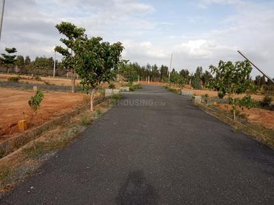 Project Image of 1200.0 - 1500.0 Sq.ft Residential Plot Plot for buy in Sizzle Atlantis