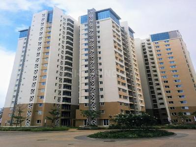 Project Image of 894.0 - 2360.0 Sq.ft 2 BHK Apartment for buy in Shapoorji Pallonji Parkwest Mahogany Tower 7