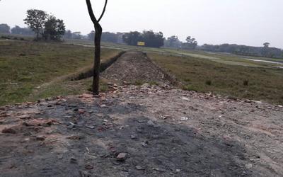 Project Image of 1440.0 - 2160.0 Sq.ft Residential Plot Plot for buy in Naskar Green World