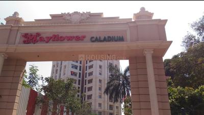 Project Image of 1448.0 - 1916.0 Sq.ft 2 BHK Apartment for buy in Mayflower Caladium