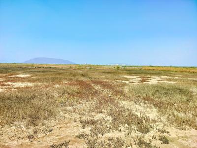 Project Image of 1089.0 - 16000.0 Sq.ft Residential Plot Plot for buy in World Residential And Commercial Plots In Chirle Navi Mumbai