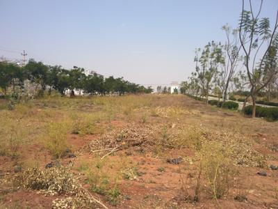 Project Images