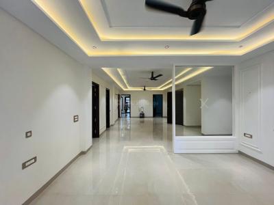 Project Image of 3250.0 - 3800.0 Sq.ft 4 BHK Builder Floor for buy in Richlook Platinum Floors