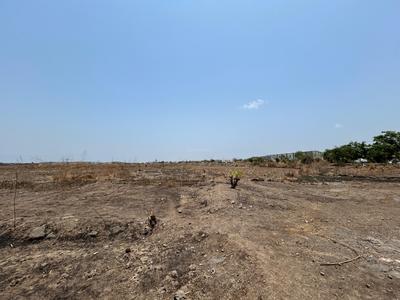 Project Image of 1000.0 - 10000.0 Sq.ft Residential Plot Plot for buy in Invest Mahamumbai Plots In Dronagiri