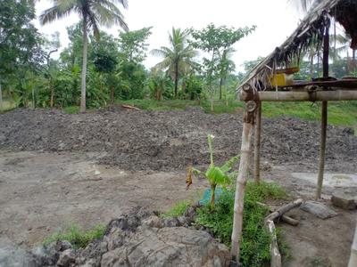 Project Image of 1080.0 - 2160.0 Sq.ft Residential Plot Plot for buy in Bhupati Amgachia Abasan