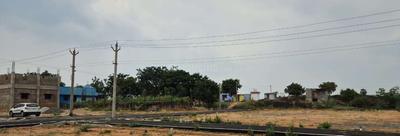 Project Images