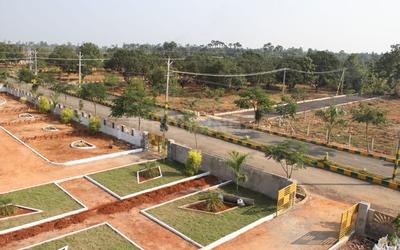Project Image of 1503.0 - 4500.0 Sq.ft Residential Plot Plot for buy in Subhagruha Sukrithi Saanvi