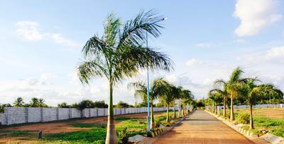 Bluejay Uttar Others 1