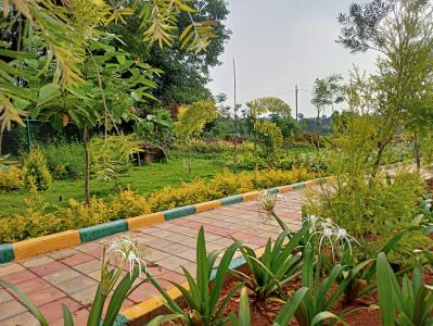 Project Image of 1200.0 - 2400.0 Sq.ft Residential Plot Plot for buy in Shree Durga Lake Vista