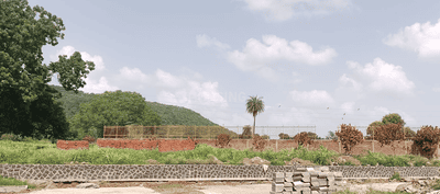 Project Image of 382.23 - 6164.81 Sq.ft Residential Plot Plot for buy in Oyster Greenmount City II Extension