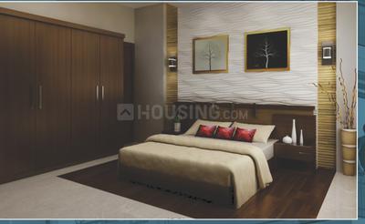 Project Images
