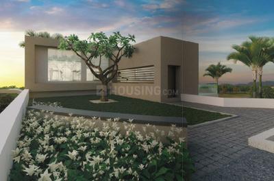Project Images