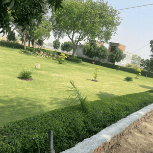 Project Image of 900.0 - 2700.0 Sq.ft Residential Plot Plot for buy in Anugrah Homes