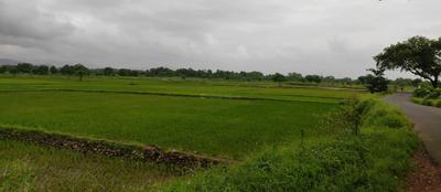 Project Image of 1000.0 - 10000.0 Sq.ft Residential Plot Plot for buy in Farm N Land Mangaon