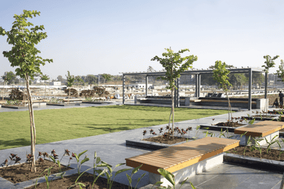 Project Image of 800.0 - 1500.0 Sq.ft Residential Plot Plot for buy in Sarthak Aakash Greens