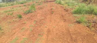 Mahamumbai Plots In Pirkon Plot 3