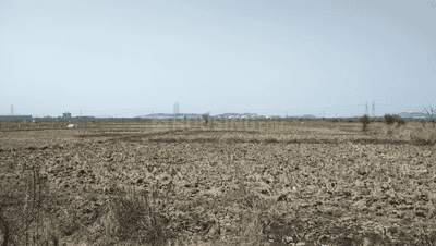 Project Image of 1000.0 - 10000.0 Sq.ft Residential Plot Plot for buy in Avani City Plots In Dronagiri