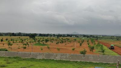 Project Image of 2178.0 - 5445.0 Sq.ft Residential Plot Plot for buy in Maa Richland Farms