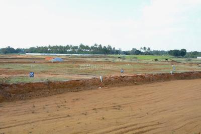 Project Image of 1200.0 - 4000.0 Sq.ft Residential Plot Plot for buy in Golden Serenity