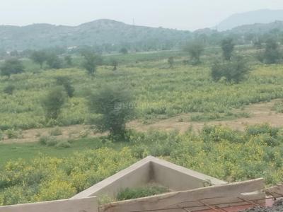 Gallery Cover Pic of Safrone Oasis Green
