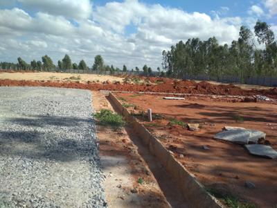 Project Image of 800.0 - 2400.0 Sq.ft Residential Plot Plot for buy in Enrich Silvana Meadows