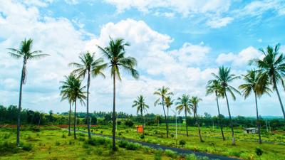 Project Image of 600.0 - 4000.0 Sq.ft Residential Plot Plot for buy in Siri Nagara Phase 2