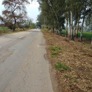 Project Image of 450.0 - 10350.0 Sq.ft Residential Plot Plot for buy in Shubham Jewar City