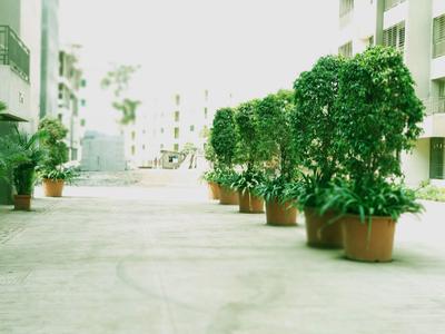 Project Image of 373.83 - 616.66 Sq.ft 1 BHK Apartment for buy in Grow Riverside Greens