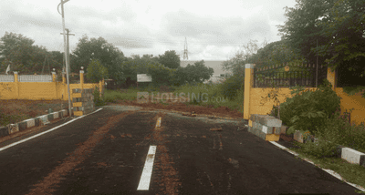 Project Images