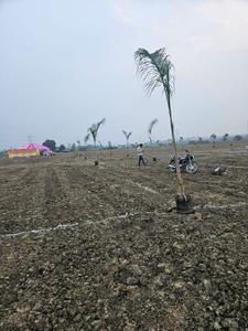 Project Image of 2872.0 - 6856.0 Sq.ft Residential Plot Plot for buy in La Vallee Farms