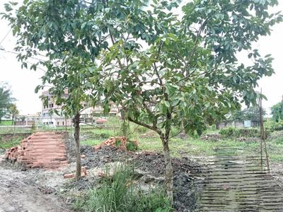 Project Image of 720.0 - 2880.0 Sq.ft Residential Plot Plot for buy in Suchandra Green City Society