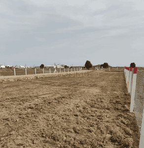 Project Images