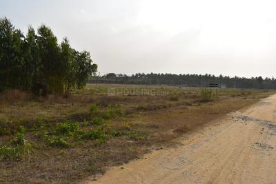 Project Image of 2250.0 - 5500.0 Sq.ft Residential Plot Plot for buy in Nesara Garden County Farms