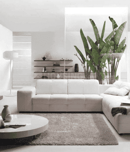 Renuka Rivera Living Area 1