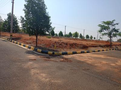 Project Image of 1323.0 - 4401.0 Sq.ft Residential Plot Plot for buy in Cosmo Celesse 