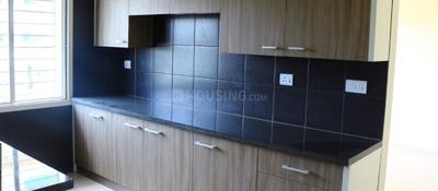 Project Images