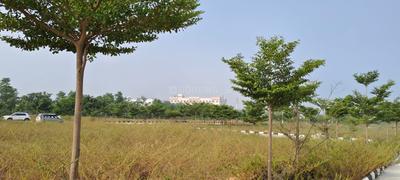 Project Image of 1350.0 - 2700.0 Sq.ft Residential Plot Plot for buy in Jb Terra Green Hills