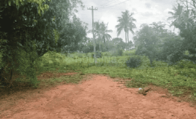 Project Image of 1421.7 - 4684.13 Sq.ft Residential Plot Plot for buy in Fortius Good Earth