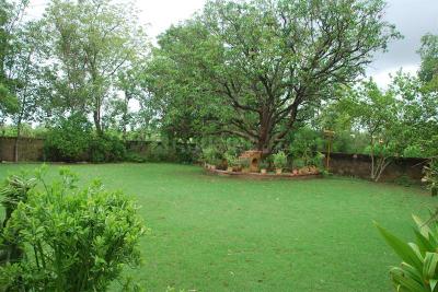 Project Image of 0.0 - 36000.0 Sq.ft Residential Plot Plot for buy in Sun Green