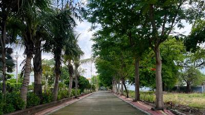 Project Image of 600.0 - 1500.0 Sq.ft Residential Plot Plot for buy in Hi link Premium Corridor