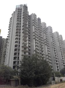 Project Image of 0.0 - 1005.0 Sq.ft 2 BHK Apartment for buy in Supertech Garden Homes