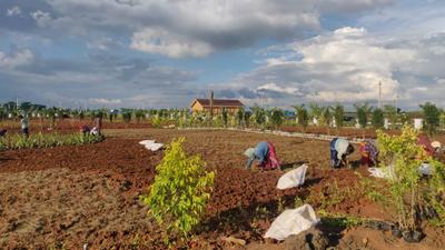 Project Image of 2160.0 - 5400.0 Sq.ft Residential Plot Plot for buy in Suchirindia Ivy Greens