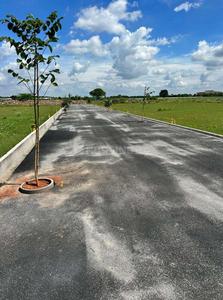 Project Images