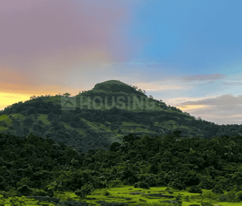 Project Image of 1399.0 - 5000.0 Sq.ft Residential Plot Plot for buy in Ascenta Basalt Hills