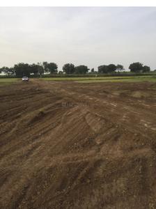 Global City Elevation 1